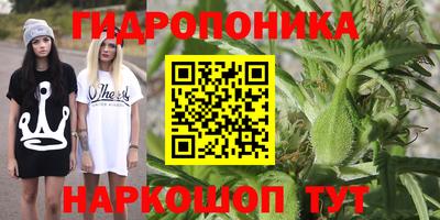 скорость Кандалакша