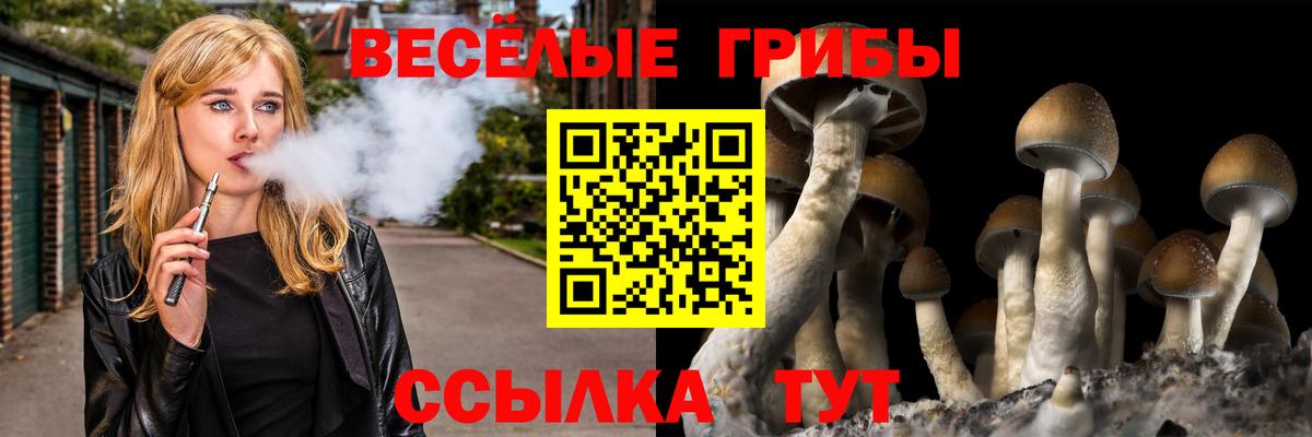 Лесозаводск  Галлюциногенные грибы Magic Shrooms  Вход с VPN  Псилоцибиновые грибы ЛСД 